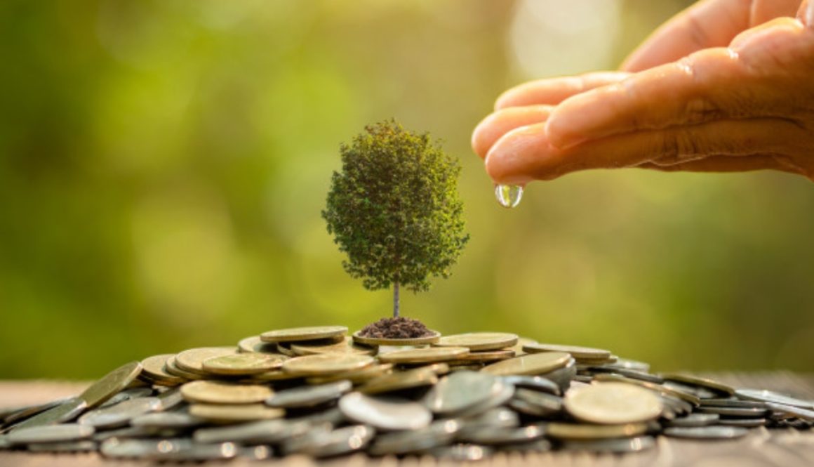 SMALL BUSINESS FINANCING- THE DYNAMICS