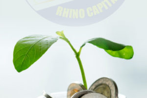 Investment Snippet